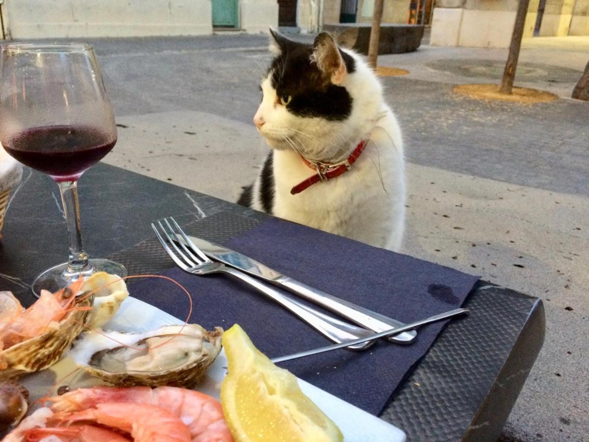 SérignanBeach, Wine, Dining, Sports, Summer, Winter公寓 外观 照片